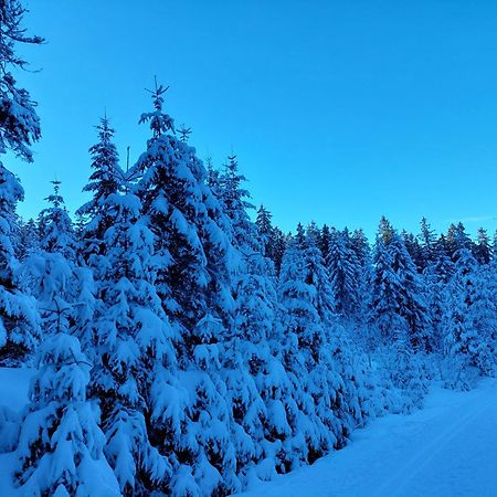 Ubytování na Lipně Černá v Pošumaví Exterior foto