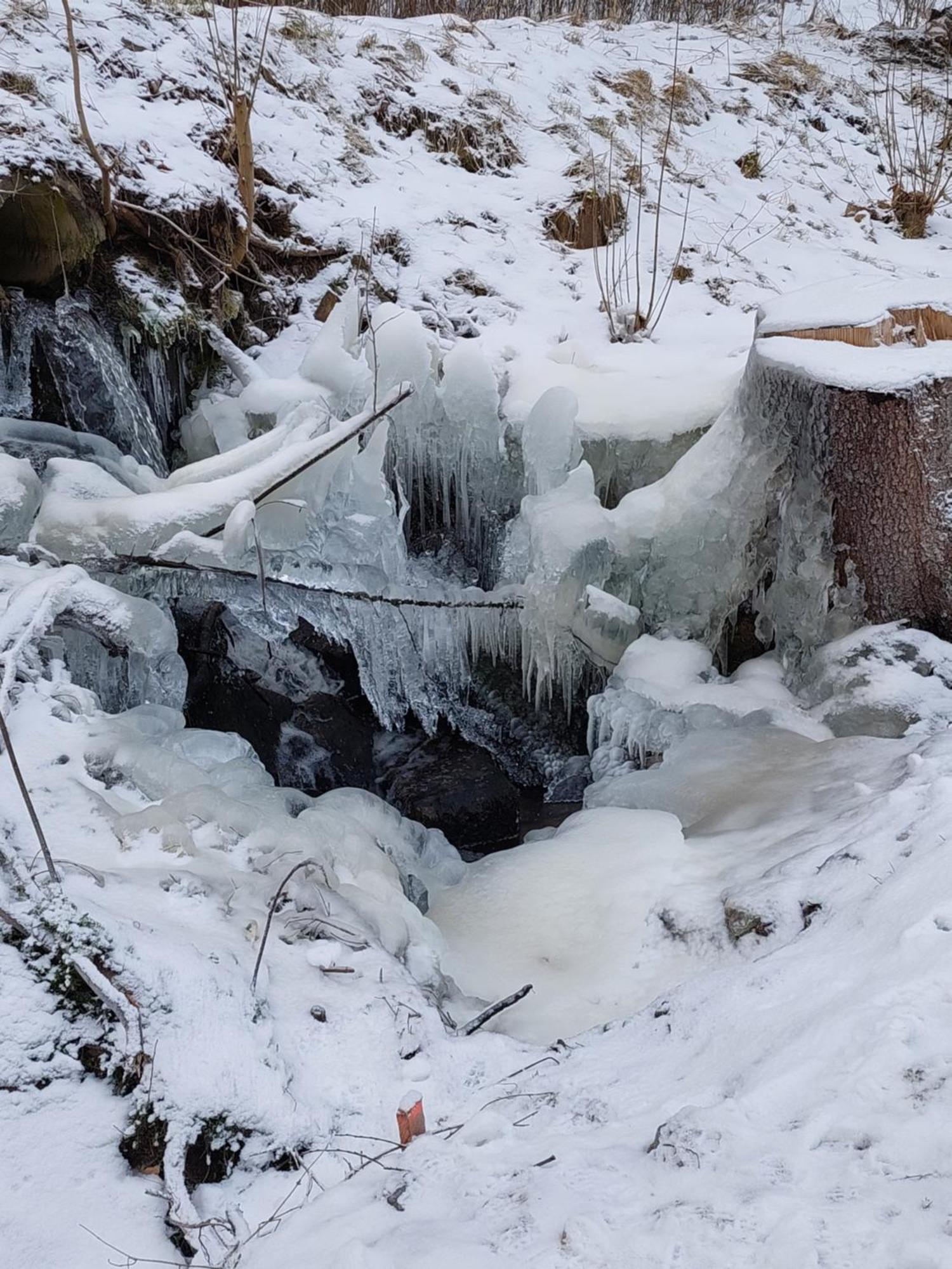 Ubytování na Lipně Černá v Pošumaví Exterior foto